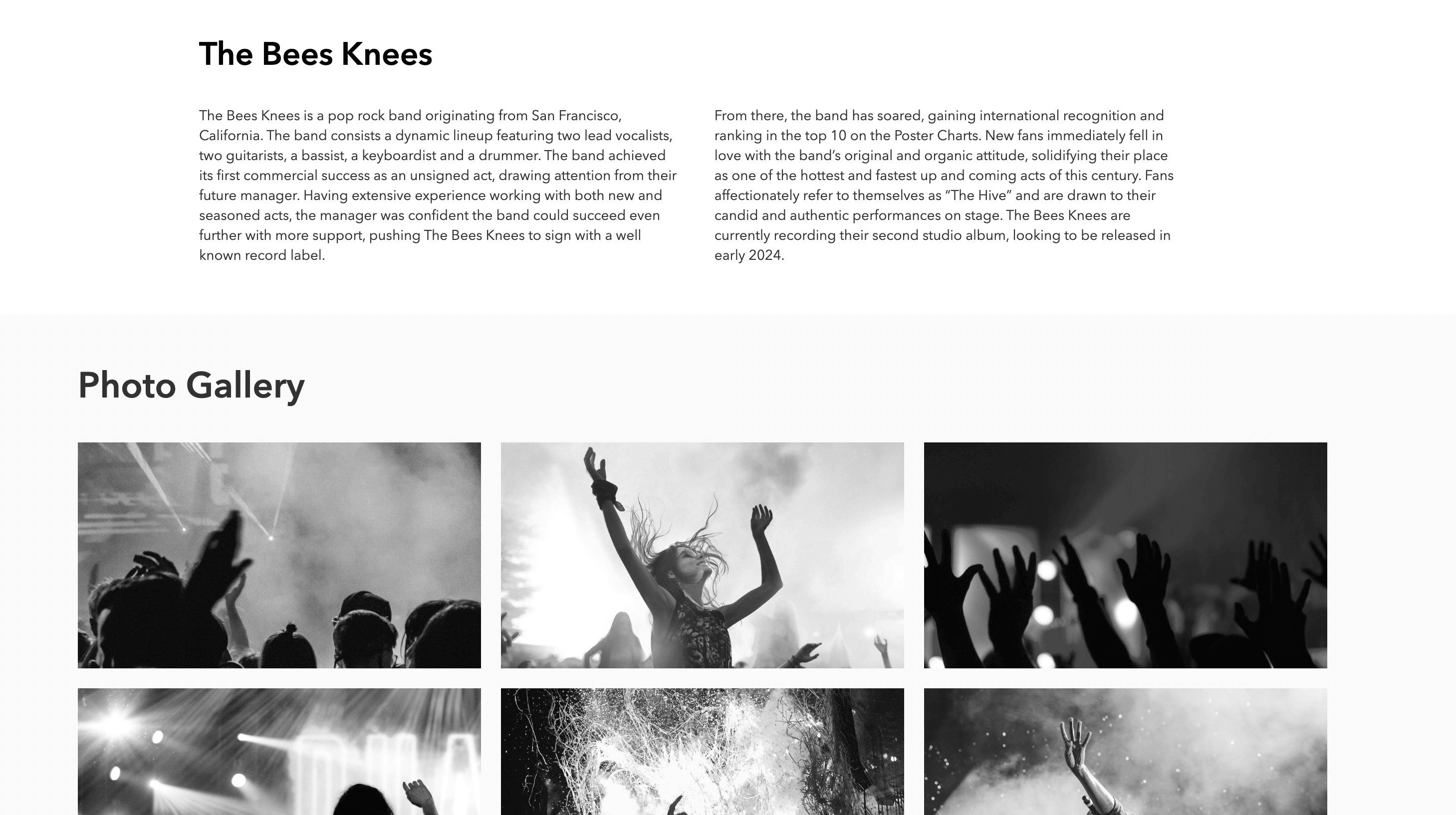 Image of the project Promotional Band Site